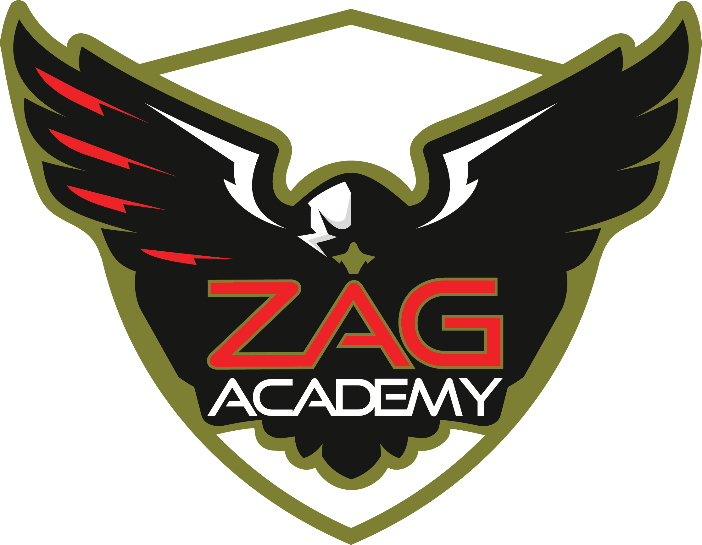 ZAG Academy